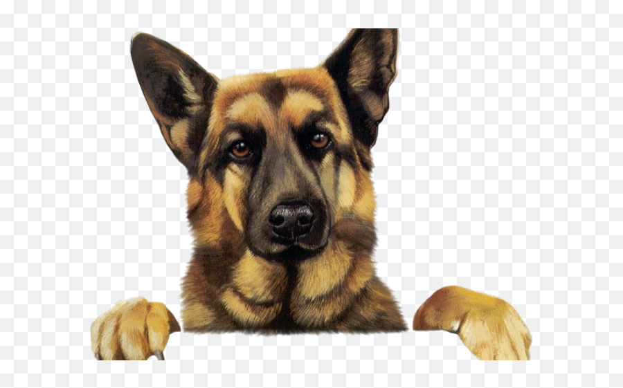 German Shepherd Silhouette Png - Funny German Shepherd Png Emoji,German Shepherd Dog Barking Emoticon