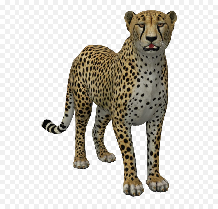 Full - Animals In 3d Emoji,Cheetah Tiger Alligator Emoji