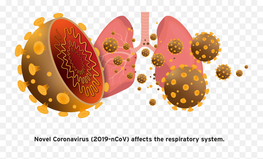 Coronavirus Png Transparent Images Png All - Falar Sobre O Coronavirus Emoji,Corona Virus Emoji