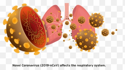 Coronavirus Png Transparent Images Png All - Falar Sobre O Coronavirus Emoji,Corona Virus Emoji