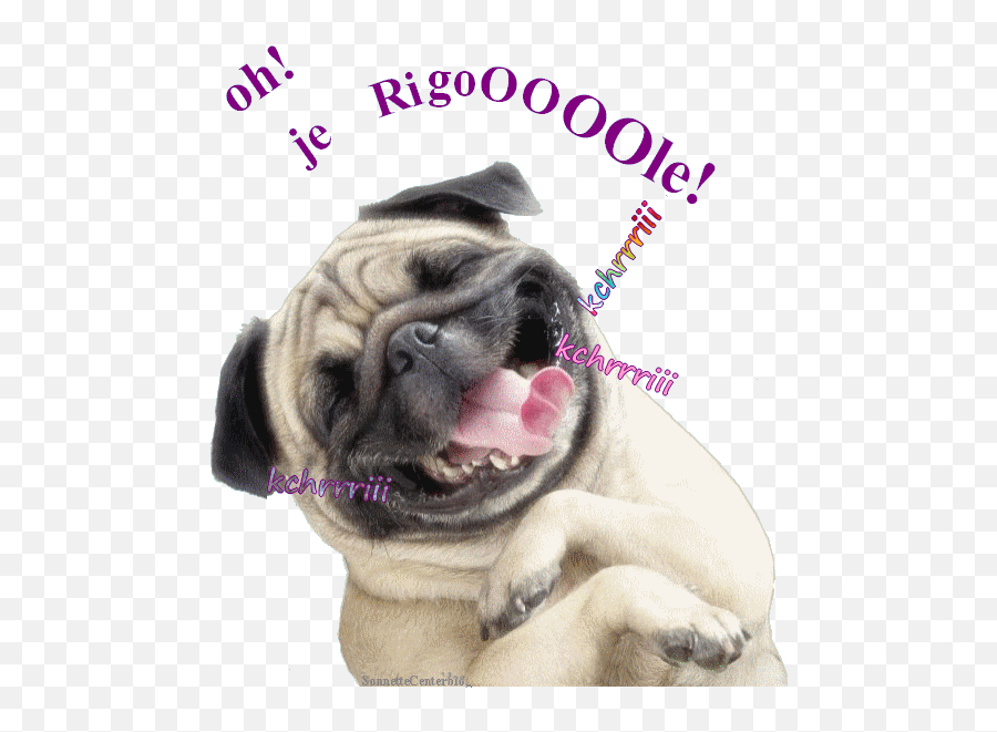 Jeu Du Mardi Résultat - Dka Decoklane Cute Pug Hd Emoji,Saurai Emojis