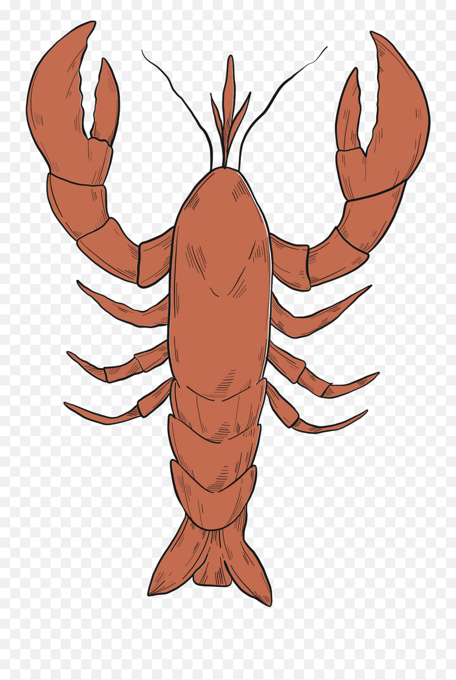 Lobster Clipart - Lobsterclipart Creazilla Emoji,Dancing Lobster Emoticon