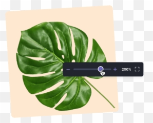 Image Zoomer Tool Online - Zoom In Or Out An Image Emoji,Make Twitch Emoticons From Existing Image Gimp