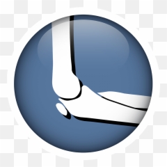 Elbow Treatment - Doctor Webflow Ecommerce Website Template Emoji,Anatomical Emoji