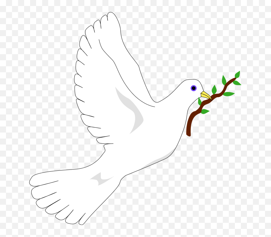 Free Picture Of Dove With Olive Branch Download Free Clip - Peace Dove Emoji,Dove Emoji Meaning