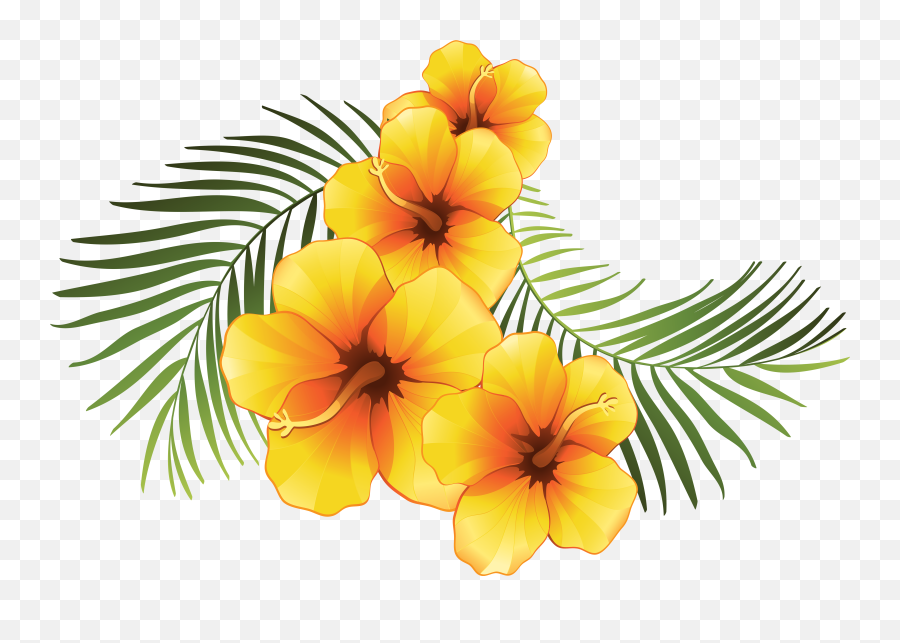 Caribbean Flowers Png U0026 Free Caribbean Flowerspng - Transparent Background Transparent Natural Tropical Flowers Png Emoji,Tropical Flower Emoji