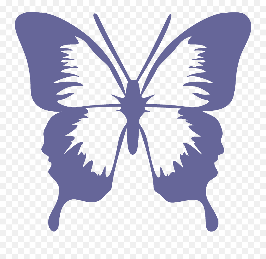 Free Butterfly Graphic Download Free Butterfly Graphic Png - Butterfly Graphic Emoji,L Black Swallowtail Butterfly!! Smile Emoticon