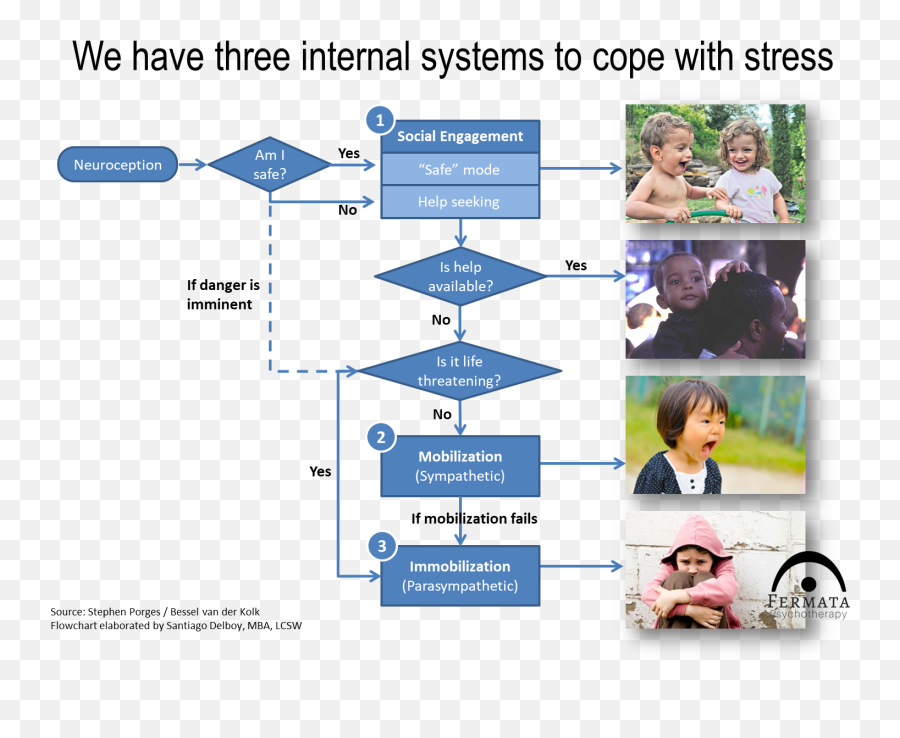 Trauma And The Brain Fermata Emoji,Ppt On Emotions