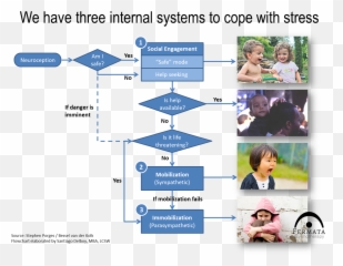 Trauma And The Brain Fermata Emoji,Ppt On Emotions