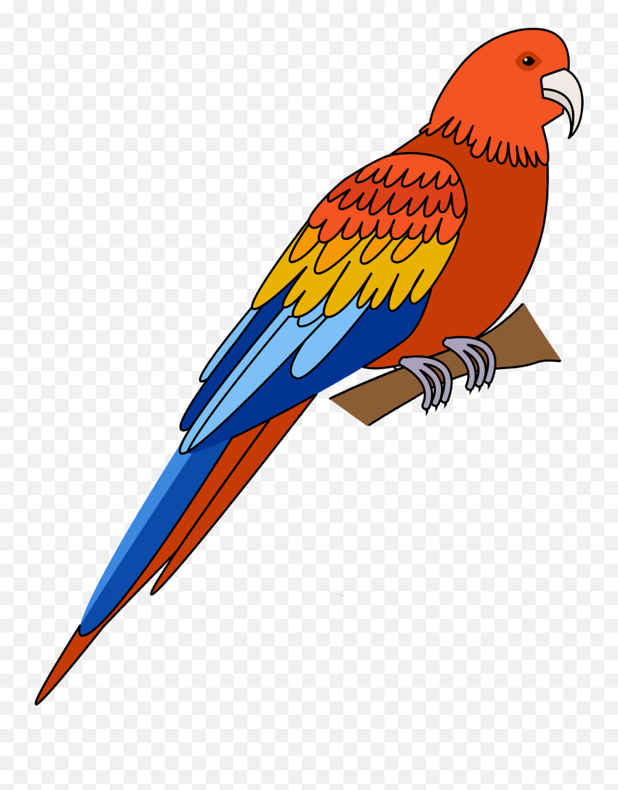 Parrot Clipart - Pet Birds Emoji,Parrot Emoji