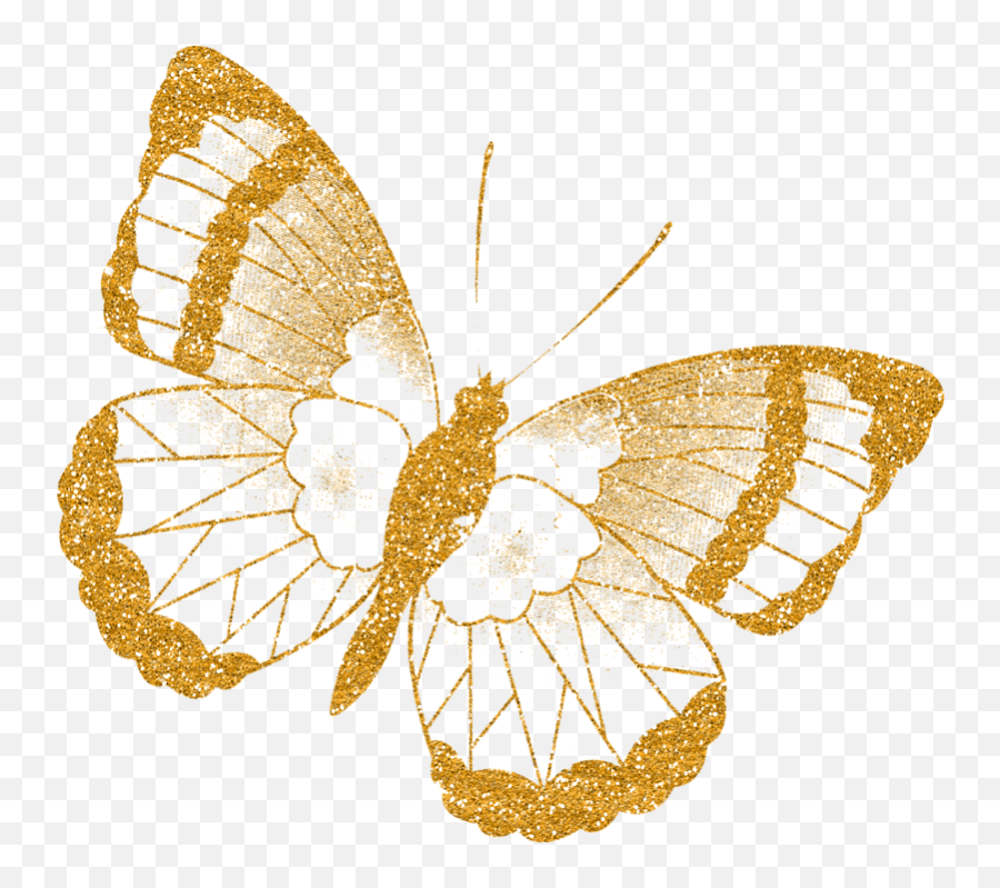 98 Ideias De Borboletas Em 2021 Borboletas Borboletas - Metalmark Butterflies Emoji,Bobunny Emoji