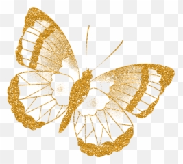 98 Ideias De Borboletas Em 2021 Borboletas Borboletas - Metalmark Butterflies Emoji,Bobunny Emoji
