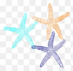 Starfish Clip Art At Clkercom - Vector Clip Art Online Gwangalli Beach Emoji,Starfish Emoticon For Facebook