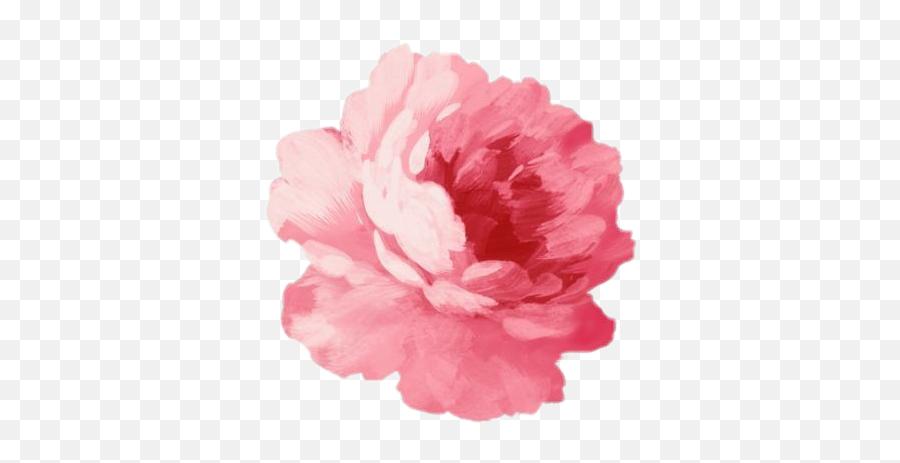 Download Watercolor Flowers Tumblr Png Png U0026 Gif Base - Pink Flower Png Emoji,Tumblr Flower Emoji