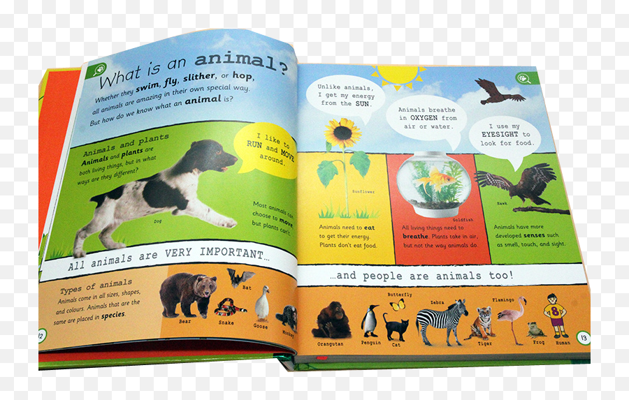 My Encyclopedia Of Very Important Animals Hardcover Owl And Dino - Book Cover Emoji,Emotions Of Animals Book