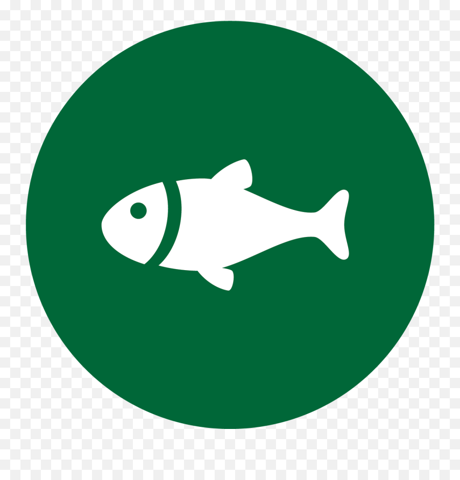 Wintergreen Sporting Club Emoji,Trout Fish Emoticon Copy And Paste
