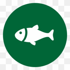 Wintergreen Sporting Club Emoji,Trout Fish Emoticon Copy And Paste