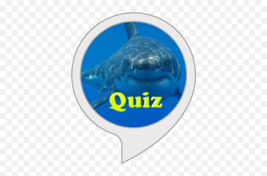 Amazoncom Emoji Quiz Alexa Skills,Emoji Quiz Fish And Wind