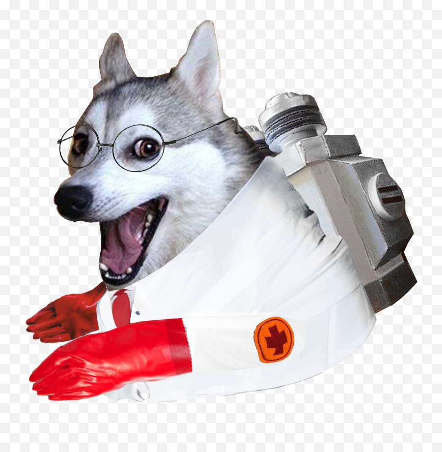 Ironic Doge Memes - Le Medic Pun Dog Has Arrived Rdogelore Emoji,Loafing Emoticon