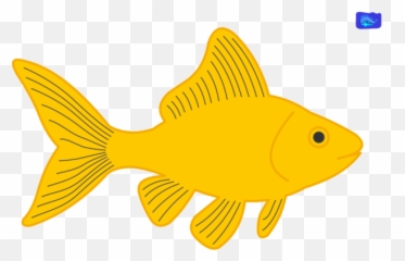 Actualities - The Newest Graphic Designs Wow Itu0027s My Tshirt Emoji,Gold Fidsh Emoji
