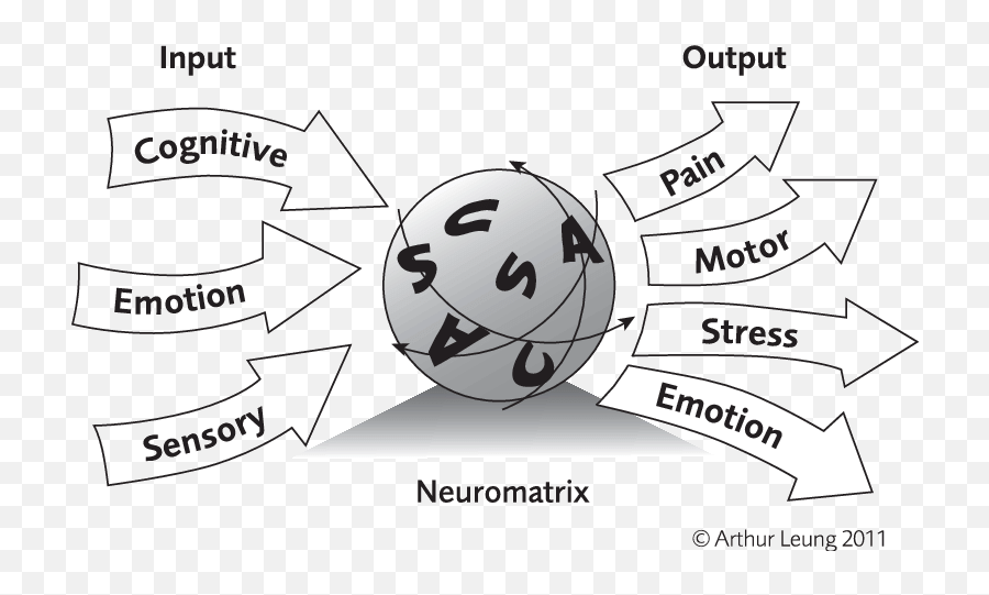 Neuromatrix Theory For Pain - Neuromatrix Theory Of Pain Example Emoji,Paleolithic Emotions