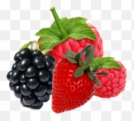 500 Free Strawberry U0026 Fruit Illustrations - Pixabay Fresh Berries Png Emoji,Gambar Emotion Blackberry