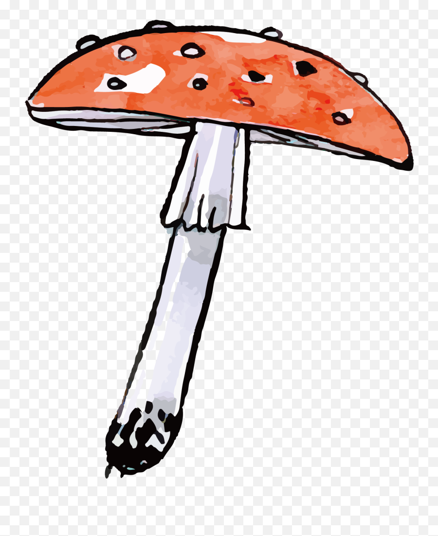 Drawn Mushroom Wild Mushroom - Lapiz Dibujo De Hongos Emoji,Emoji Mushroom Cloud