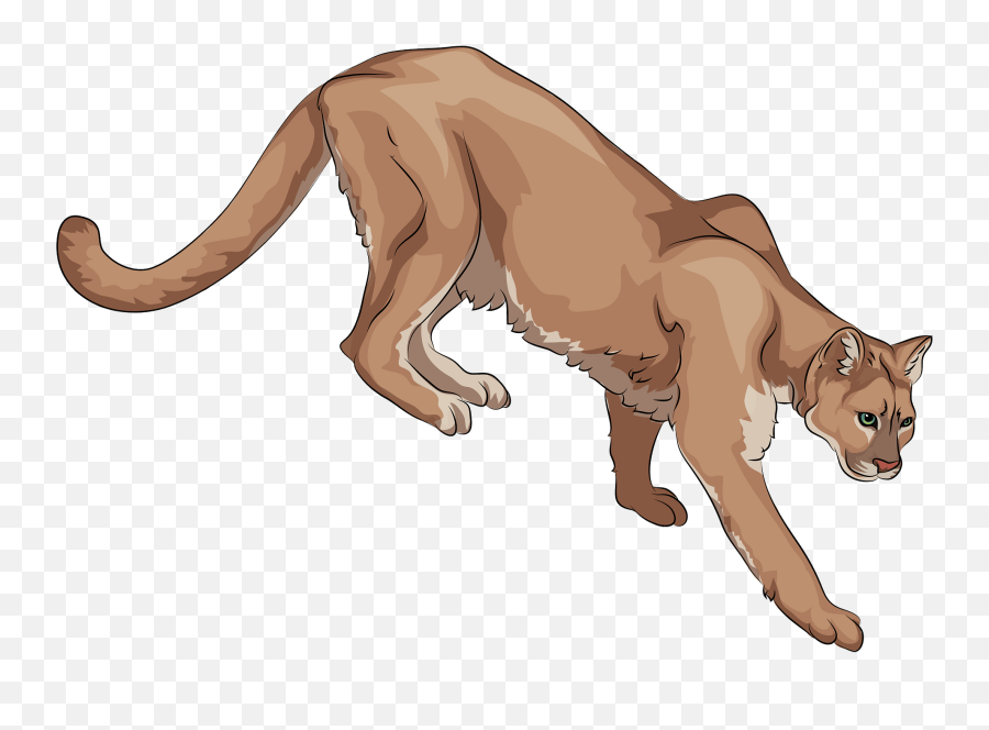 Cougar Clipart Free Download Transparent Png Creazilla - Cougar Clipart Png Emoji,Puma Emoji