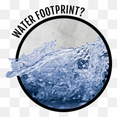 Butternut Squash - Water Footprint Emoji,Butternut Squash With A Human Face And Emotions
