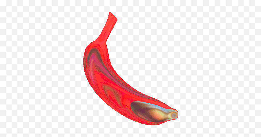 Mokkapresti Monica Presti Gif - Mokkapresti Monicapresti Gifart Discover U0026 Share Gifs Blood Vessel Transparent Gif Emoji,Banana Emoticon Gif