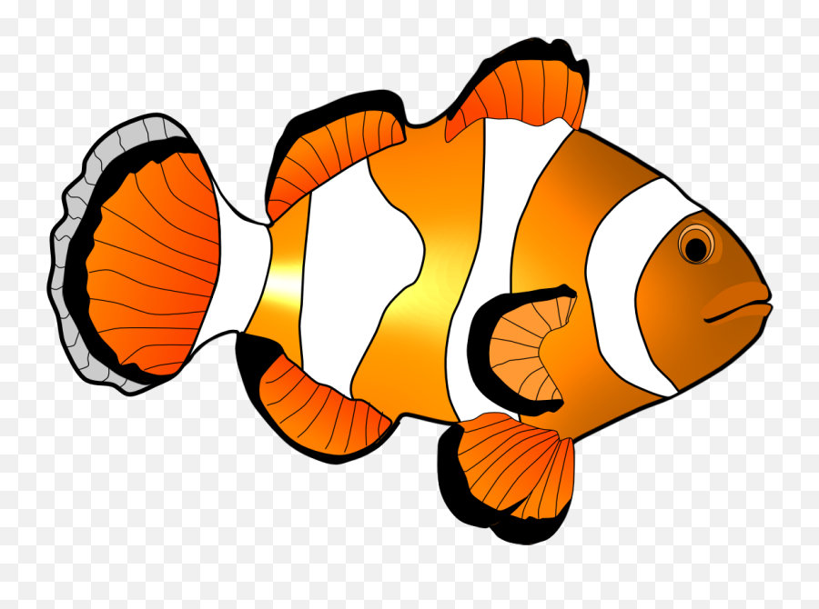 Coral Reef Fish Clipart - Fish And Their Coral Clipart Emoji,Flying Fish Emoji
