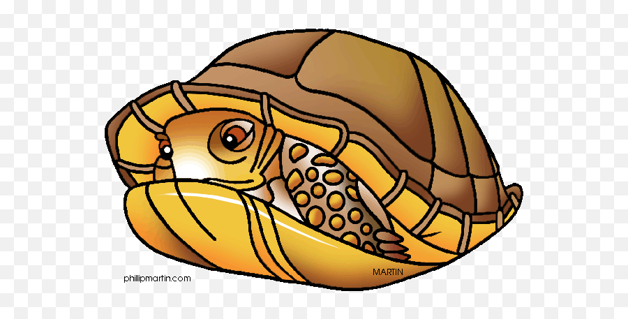 Box Turtle - Three Toed Missouri State Reptile Emoji,Review Of Every Turtle Emoji
