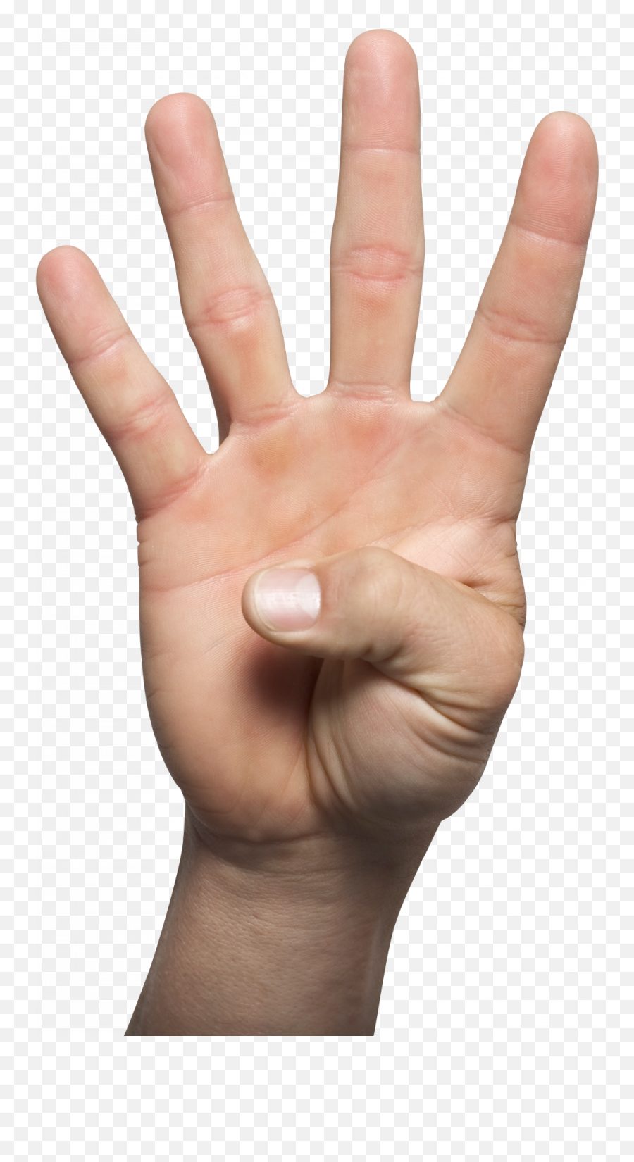 Four Hand Png Image U2013 Png Lux - Number 4 Hand Png Emoji,Hand Sign Emoji Png