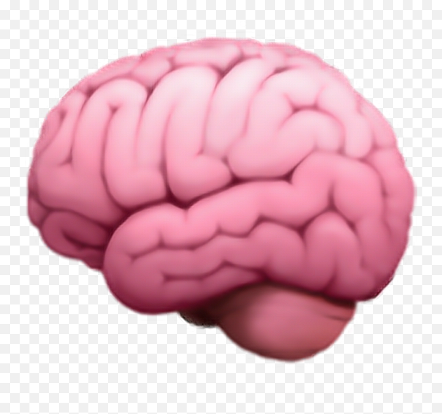 Cerebro Sticker - Brain Emoji,Brain Emoji