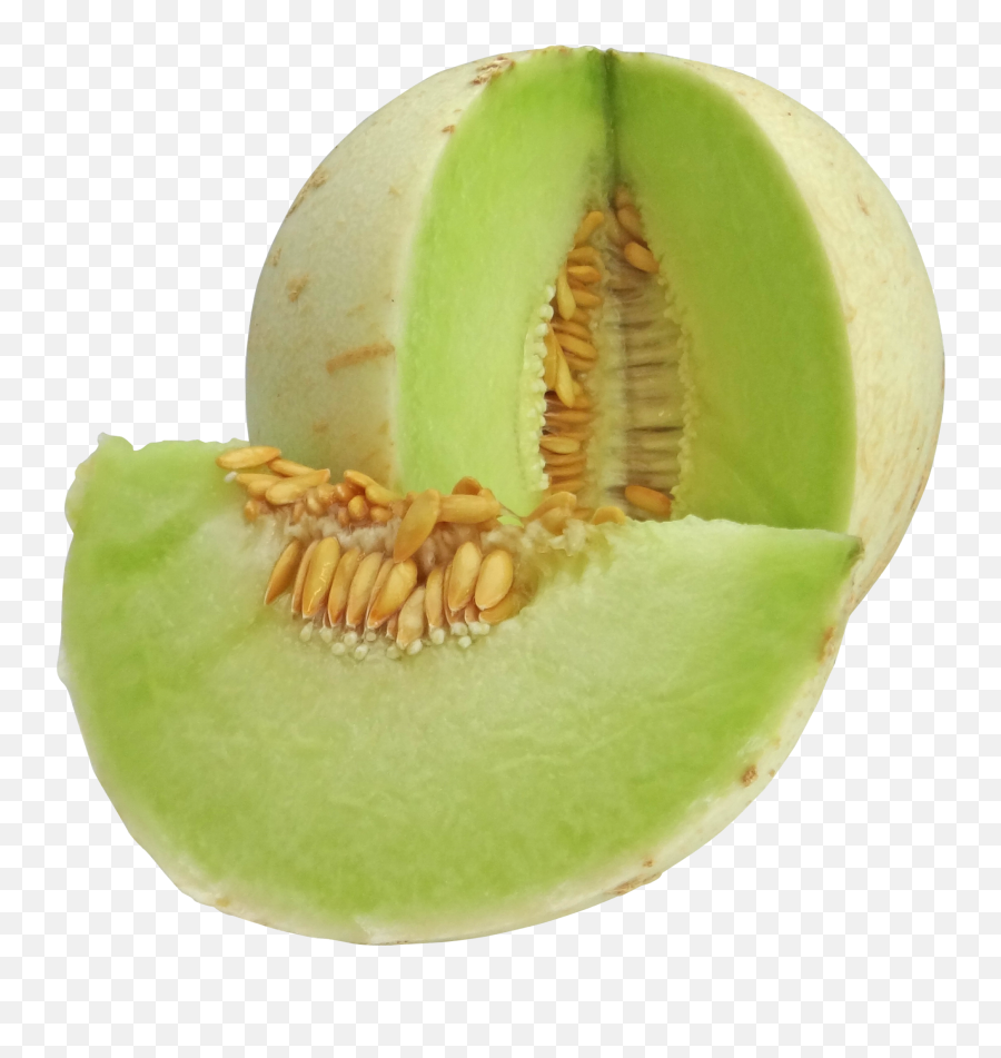 Melon Sticker - Honey Dew Png Emoji,Cantaloupe Emoji