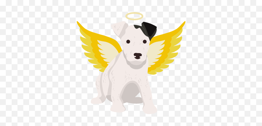Catchy Name Emoji,Angel Wings Emoji