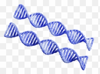 Premium Dna 3d Illustration Download In Png Obj Or Blend Format Emoji,Emoji Dna Png