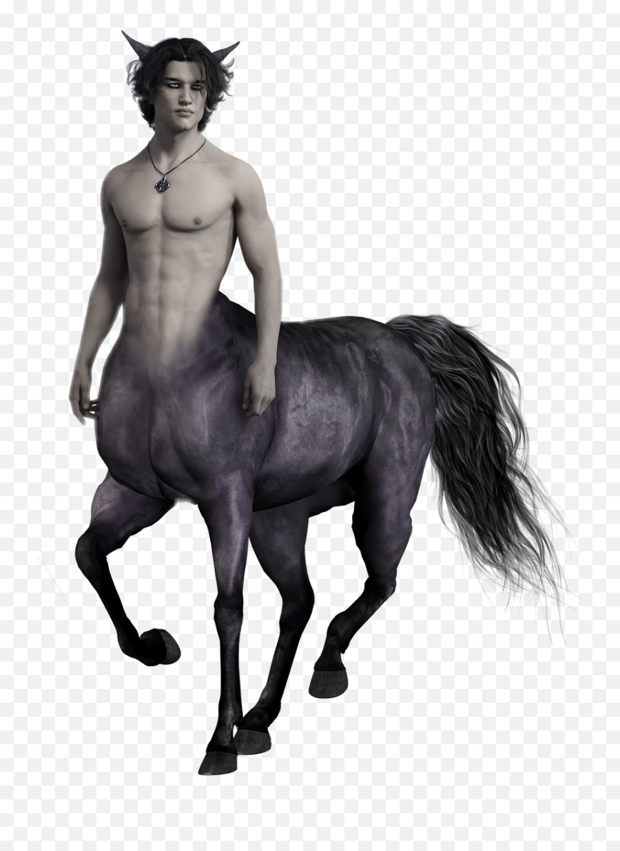Centaur Man Horse Fantasy Character Sticker By Sonali - Centaur Png Emoji,Man And Horse Emoji