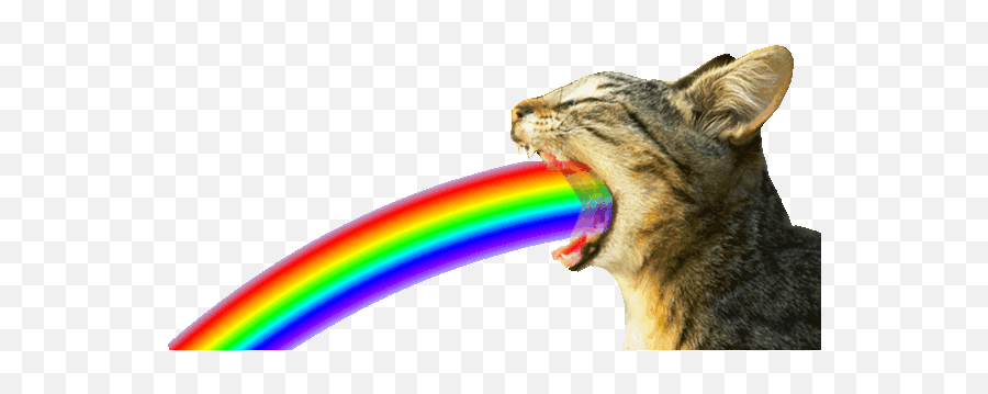 Qu0027 Aka Cocou0027s Review Of The Evolution Of Ivy Poison - Cat Barfing Rainbows Emoji,Yawn Emoji Gif