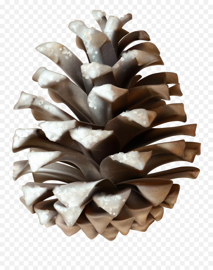 Pinecone Png Download Free Clip Art - Winter Pine Cones Clip Art Emoji,Pine Cone Emoji