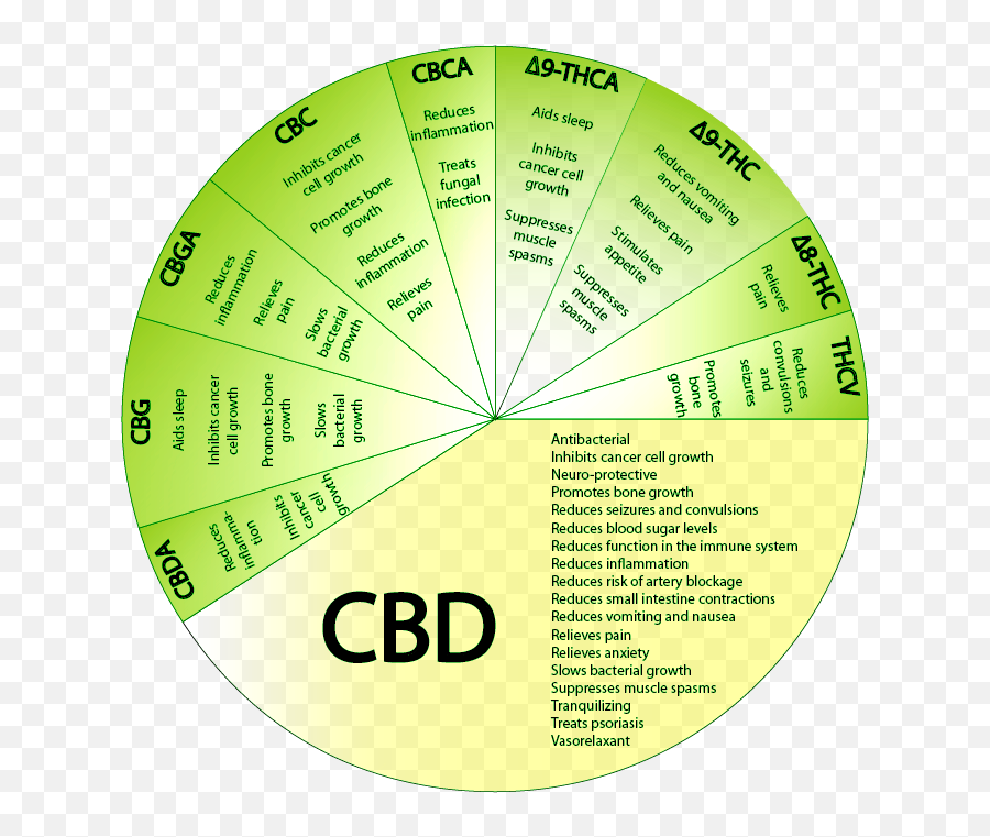 The Entourage One Of The Many Missing Pieces To The Puzzle - Cannabinoid Pie Chart Emoji,Ringed Planet Emoji