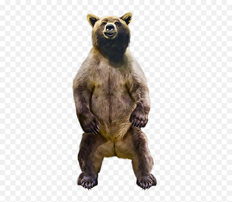 Bear Standing Smiling - Oso De Pie Png Emoji,Bear Emotions