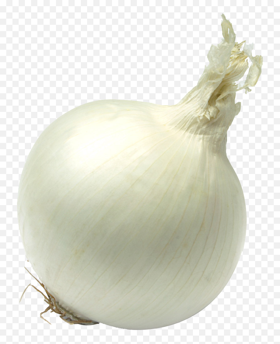 Free Transparent Onion Download Free - Single Vegetables Images Hd Emoji,Onion Emoji