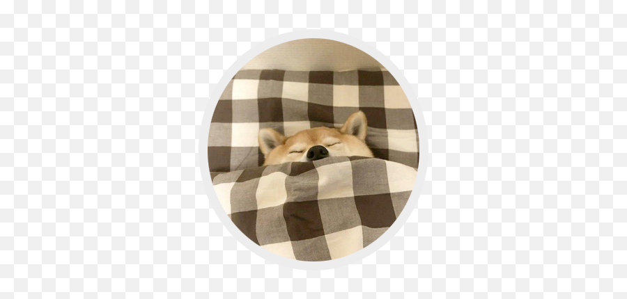 Tucked In Puppies Cute U0026 Cosy By Dean Powell Emoji,Shiba Inu Emotion