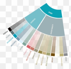 Coffee Sensory Workshop Emoji,Emotion Wheel Handout