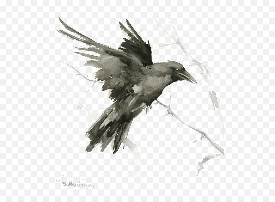 Download Tattoo Art Crow Drawing Common Bird Raven Clipart Emoji,Emoticon Raven