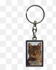 Pet Cat Metal Keyring - Tabby Cat Emoji,Emoji Keyrings