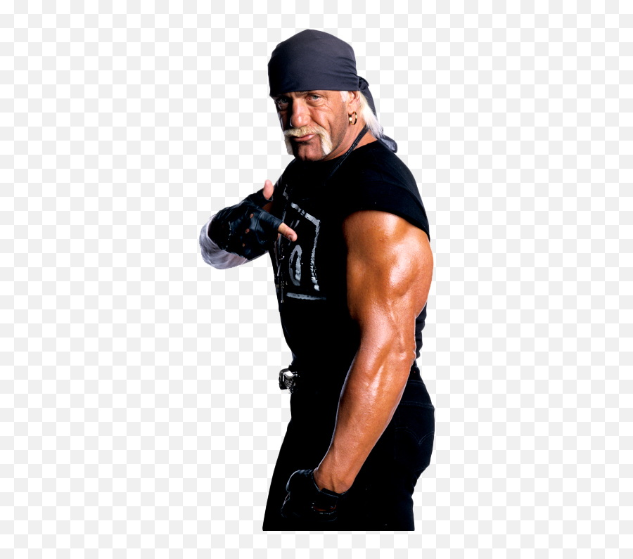 Sunday Night Reptile 2 - Wwe Hulk Hogan Nwo Png Emoji,Emoticon Sbalordito