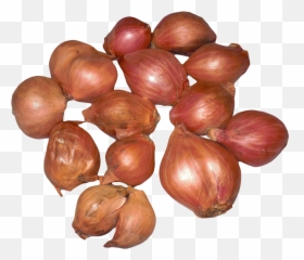 Onion Clipart Onion Peel Onion Onion - Shallots Png Emoji,Onions Emoji