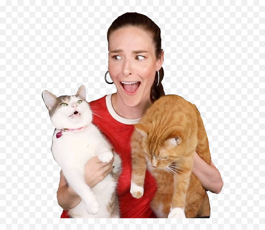 Simplynailogical Sticker - Happy Emoji,Emoji Simply Nailogical